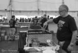 Bilder 2016 (63/181)